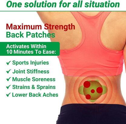 Herbal Back Pain Relief Patch – Long Lasting Heating Patch ( 20 PCS )